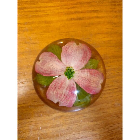 Vintage W. Rolfe Dogwood Flower Encased in Resin Paperweight - Picture 7 of 7